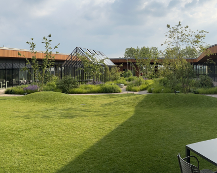 6 juni 2024 - Drongen