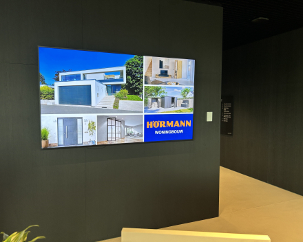 6 juni 2024 - Drongen