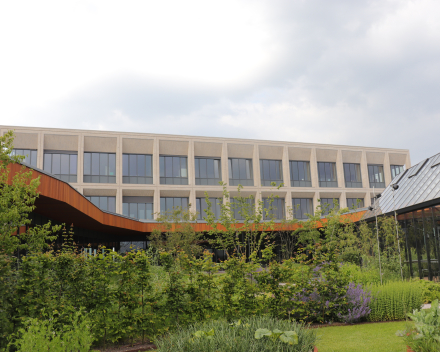 6 juni 2024 - Drongen